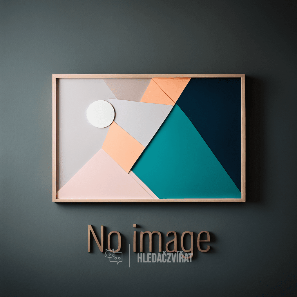 Portugalský podengo, Portugalský podengo, Portugalský chrt, Portugalský pes , skupina: Špicové a tzv. primitivní plemena