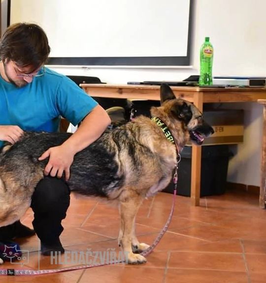 Rehabilitace a Dornova metoda