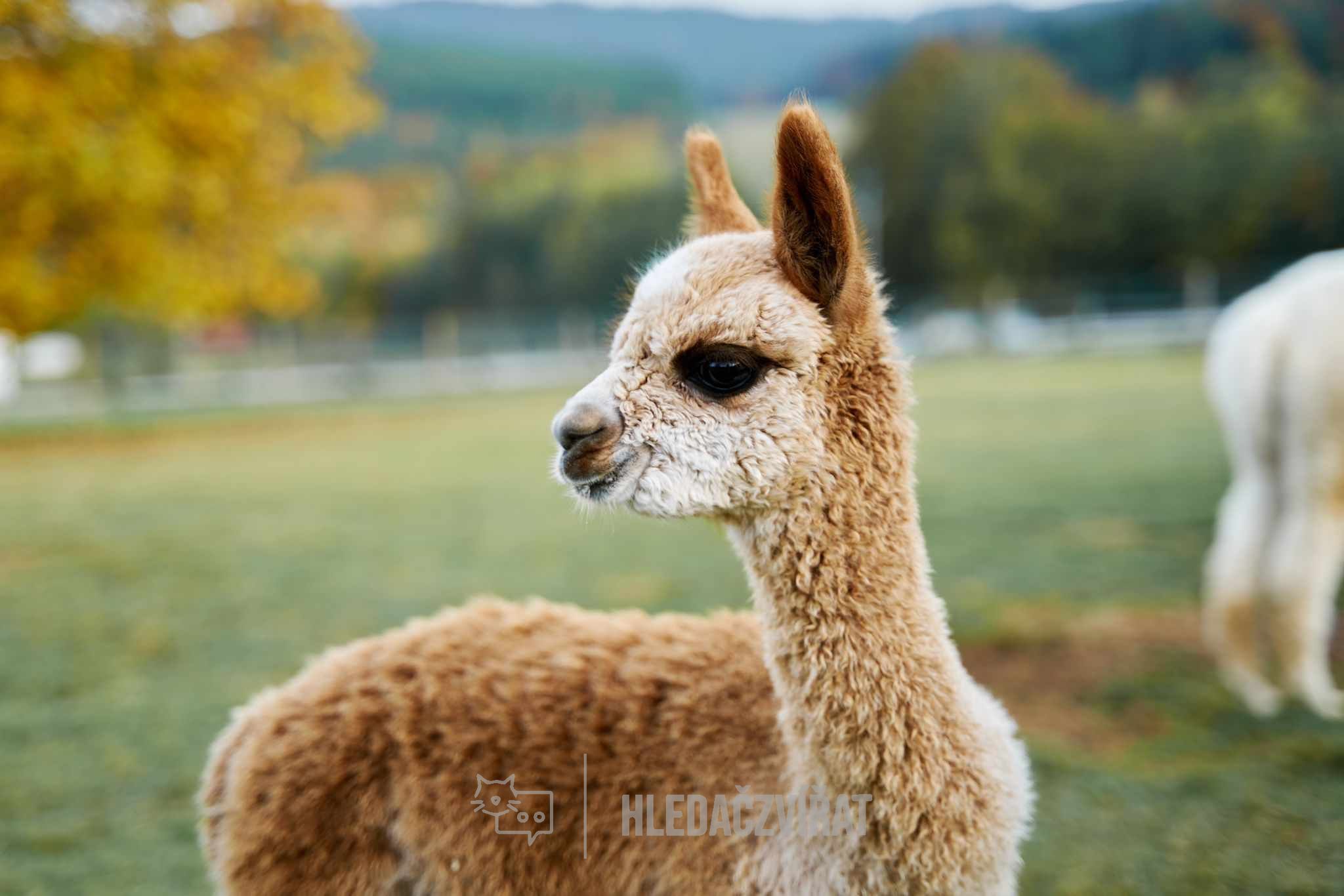 Exkurze na naší farmě