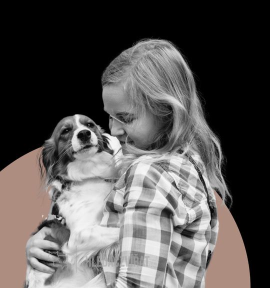 Veterinární fyzioterapie a rehabilitace