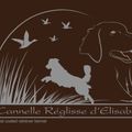 flat-coated-retriever's avatar