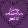 Rehabilitační centrum Lucky avatar