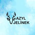 Azyl Jelínek avatar