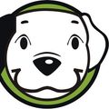 azyl-pes-krasny-les's avatar
