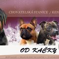 od-kacky avatar