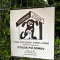 psi-domov-repnice avatar