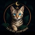 Luxury Leopards CHS avatar