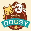 Útulek Dogsy avatar