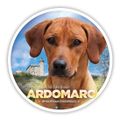 ardomaro's avatar