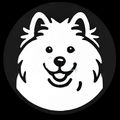 schonbach avatar