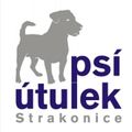psiutulek-strakonice's avatar