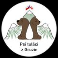 psitulacizgruzie's avatar