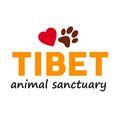 utulek-tibet's avatar